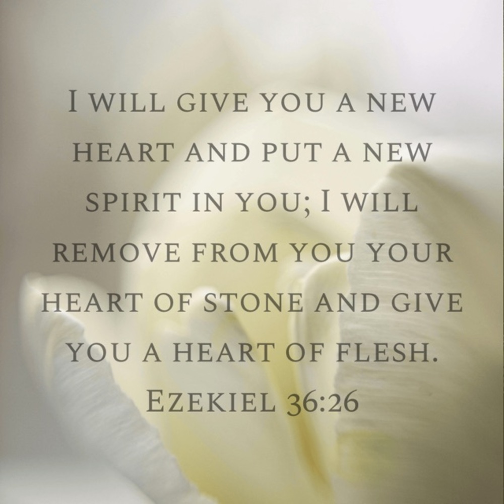 4/9 God Has Made My Heart NEW 💜🙌🏼